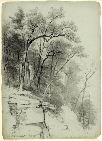 Study of Trees and Rocks, Catskill Clove, New York by Asher Brown Durand